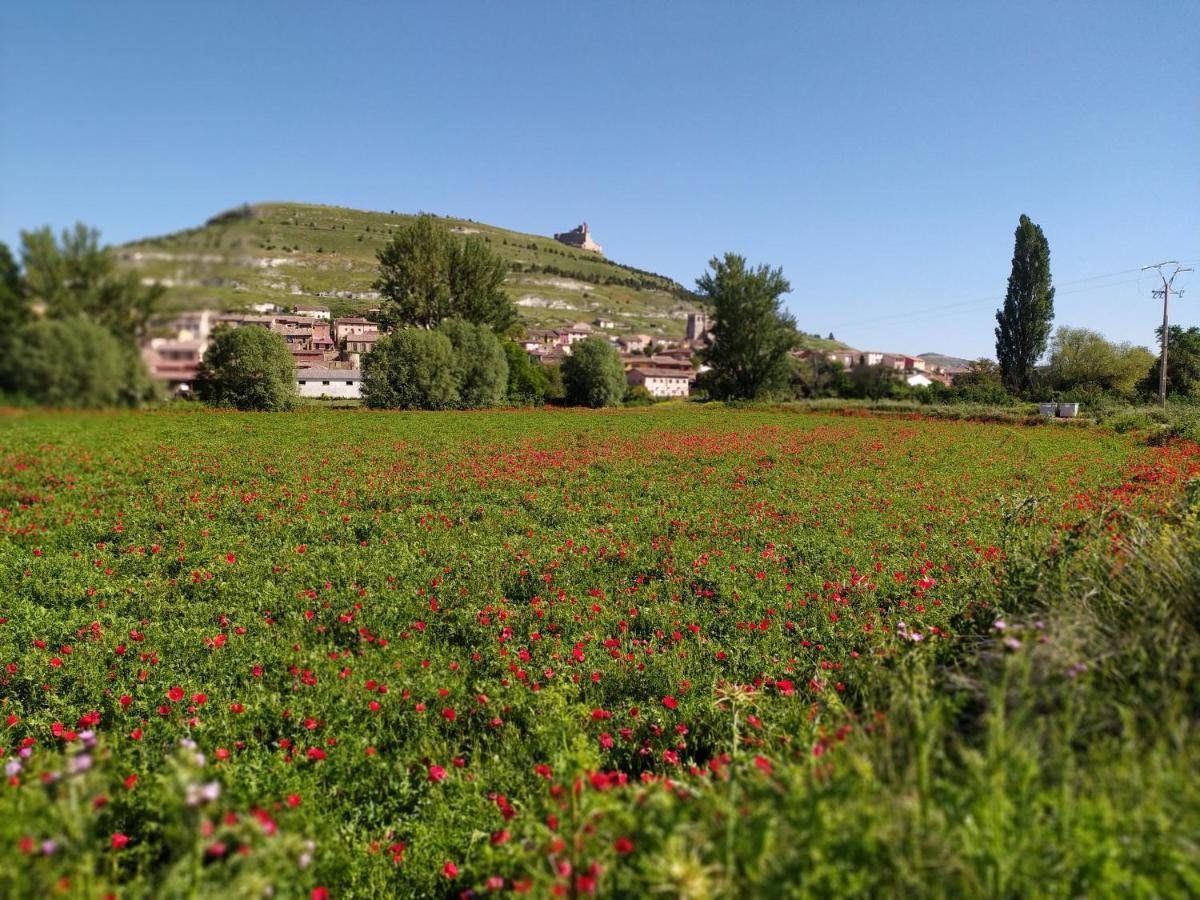 Хостел Camino De Santiago Кастрохерис Экстерьер фото